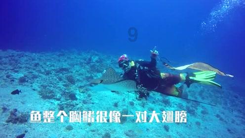 山东省胶州市发布大风黄色预警